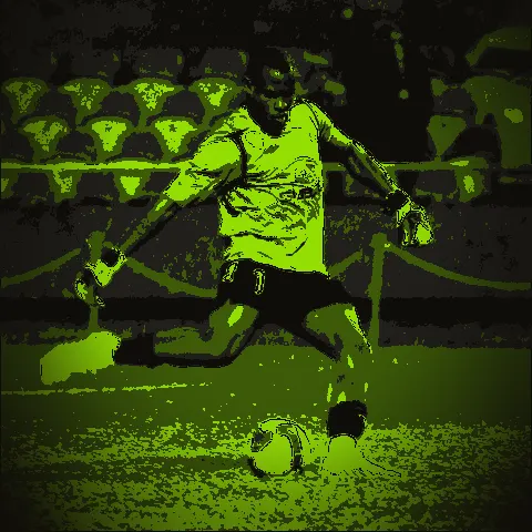 Vincent Enyeama