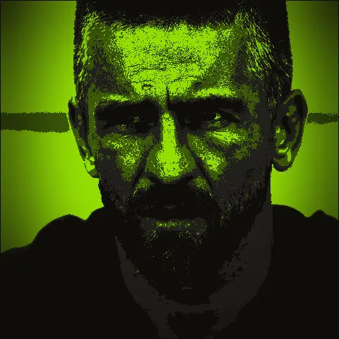 Vedad Ibišević