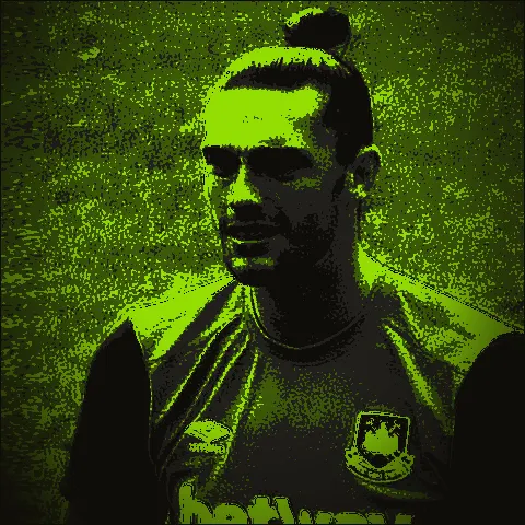 Andy Carroll