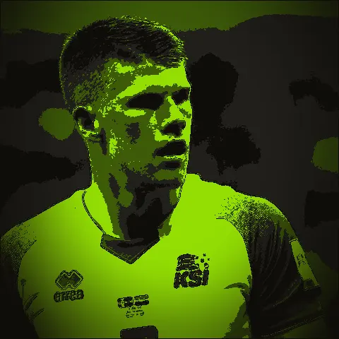 Jóhann Berg Guðmundsson