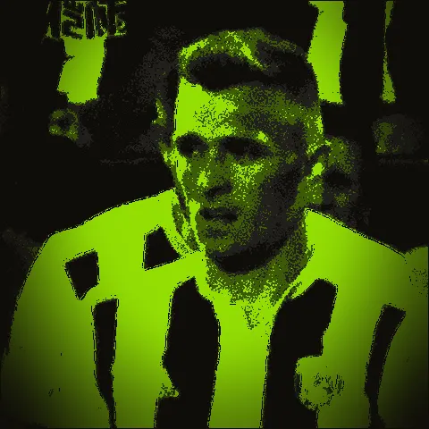 Darren Fletcher