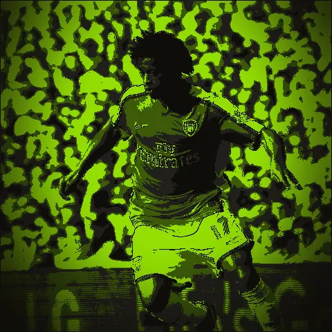 Alex Song