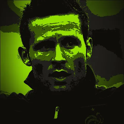 Yohan Cabaye