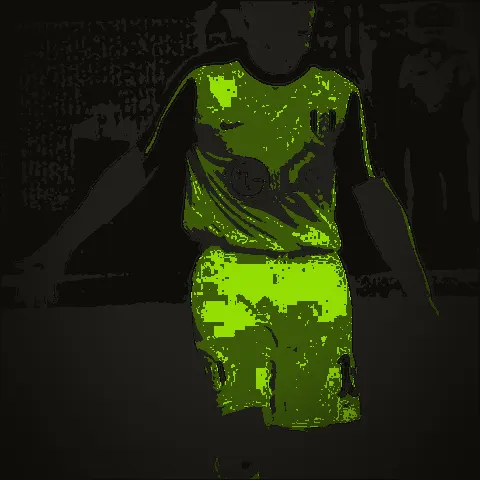Damien Duff