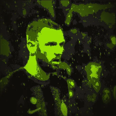 Stefan de Vrij