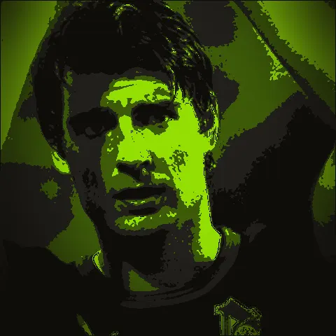 Vedran Ćorluka