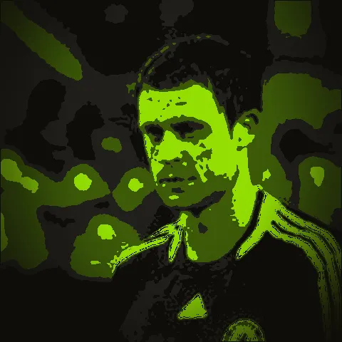 Wayne Bridge