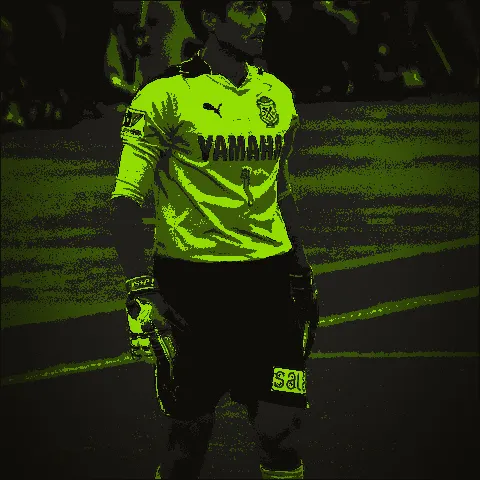 Yoshikatsu Kawaguchi