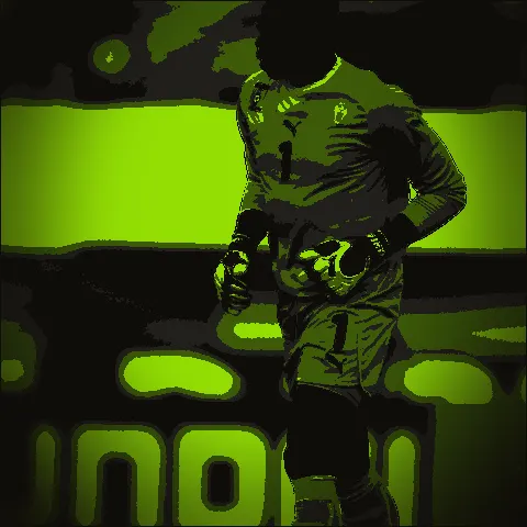 Carlos Kameni