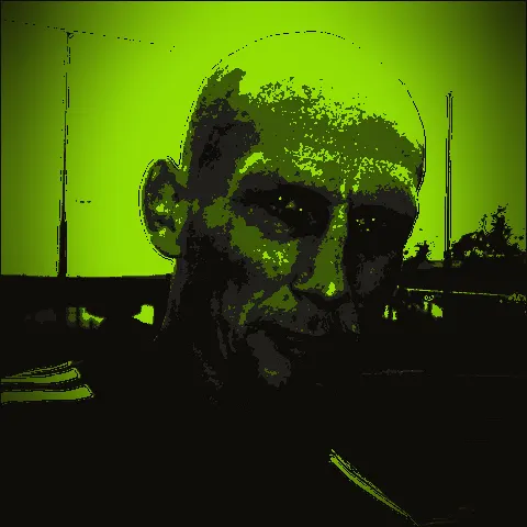 Jaap Stam