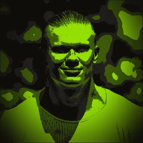 Erling Haaland