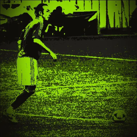 Marcus Tulio Tanaka