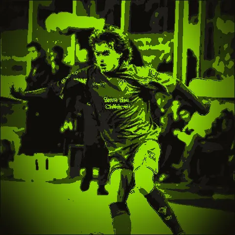 Adem Ljajić