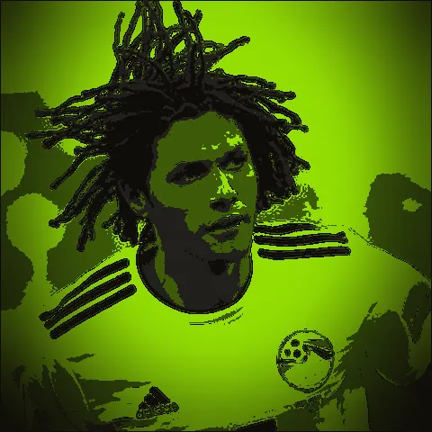 Mohamed Elneny