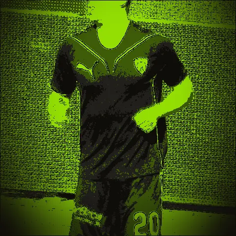 Vieirinha