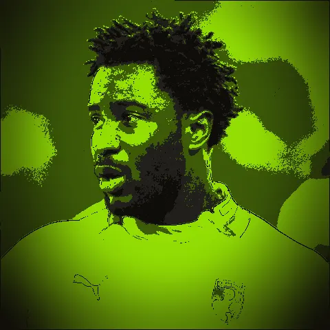 Wilfried Bony