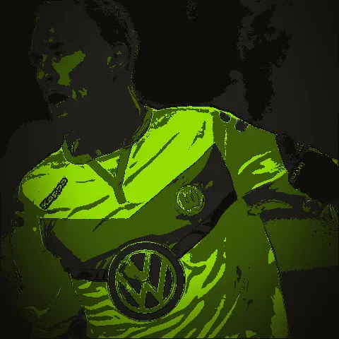 Bas Dost