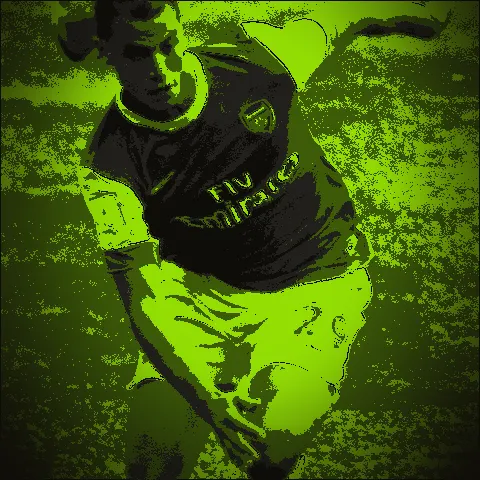 Marouane Chamakh