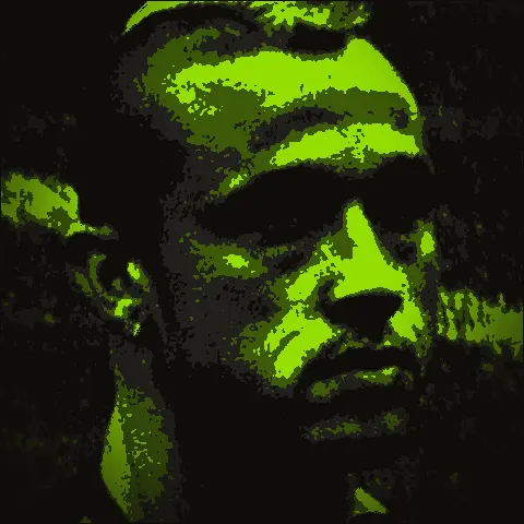 Radja Nainggolan