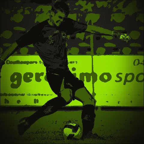 Mitchell Langerak