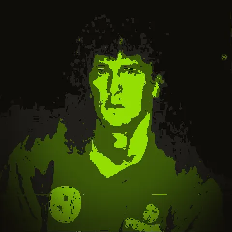 Néstor Gorosito