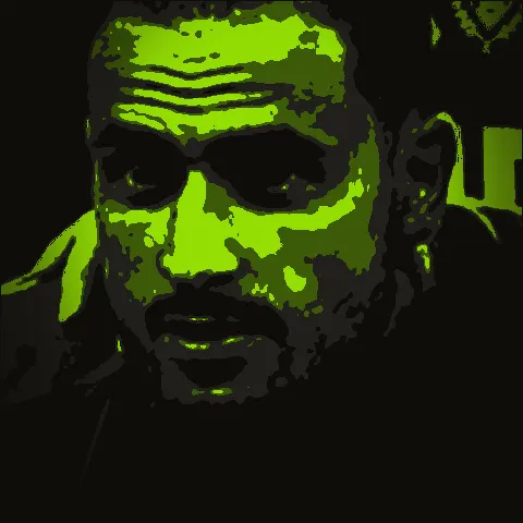 Nacer Chadli