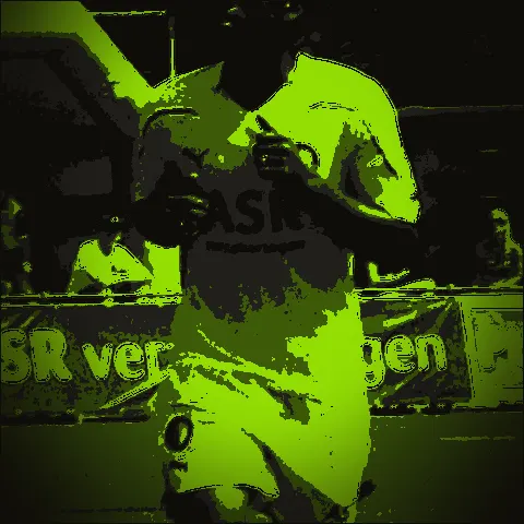 Leroy Fer